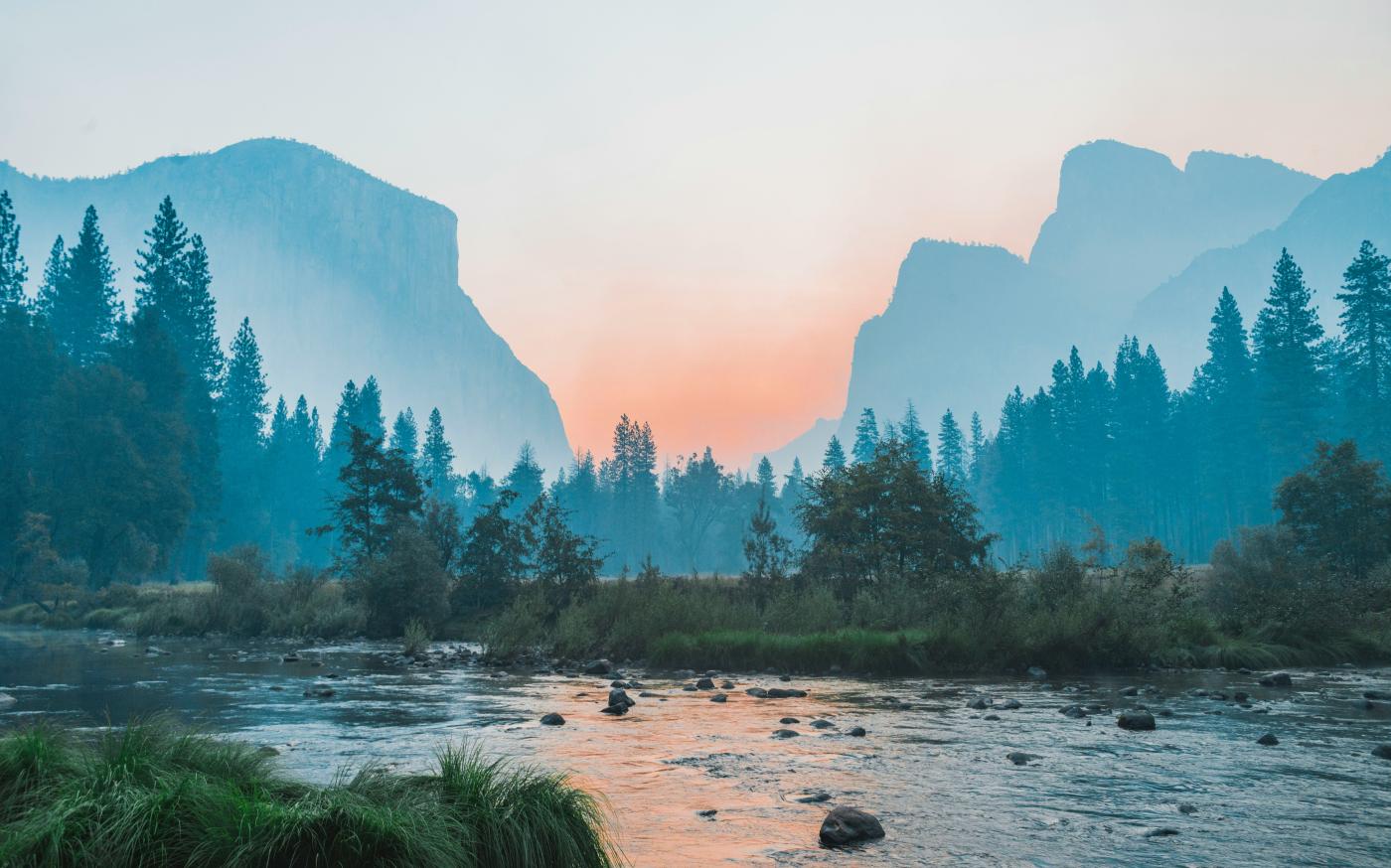 body of water surrounded by trees by Bailey Zindel courtesy of Unsplash.