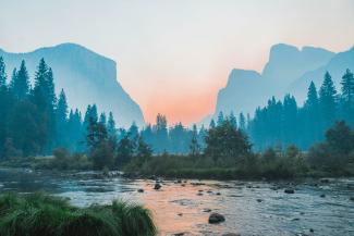 body of water surrounded by trees by Bailey Zindel courtesy of Unsplash.